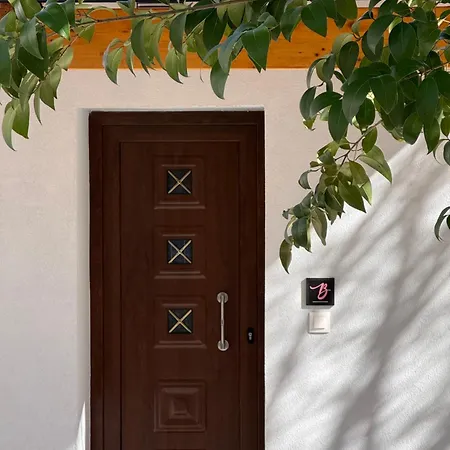 Magnolia Garden - Meteora *