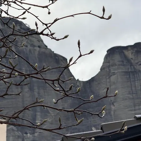 Magnolia Garden - Meteora Daire *