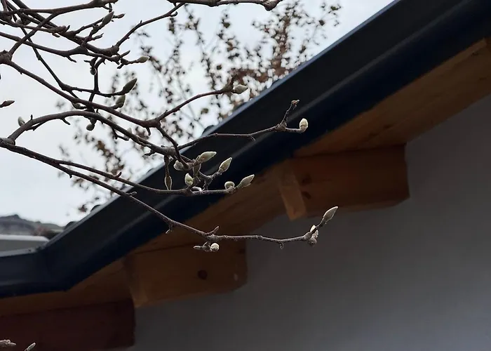 Appartamento Magnolia Garden - Meteora Kalambaka